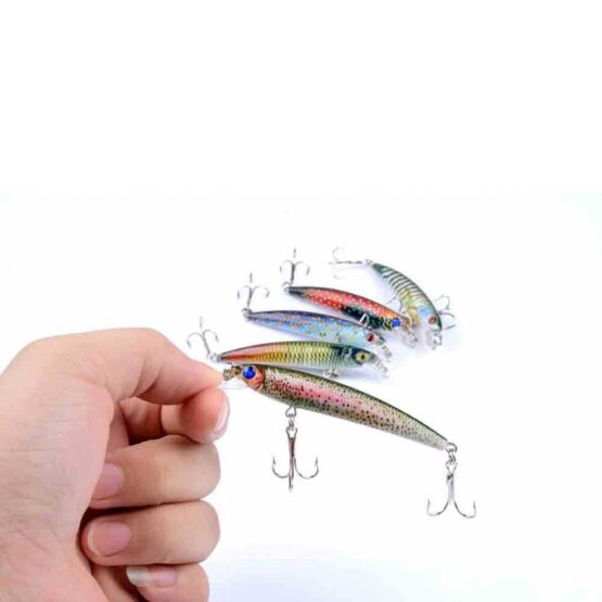 East Rain® 7.5cm/4.7g Painted Minnow Bait