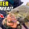Winter Fishing Swimbait