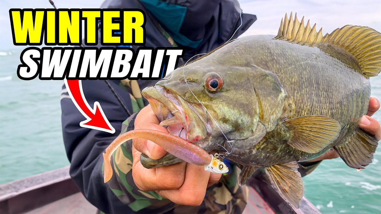 Winter Fishing Swimbait