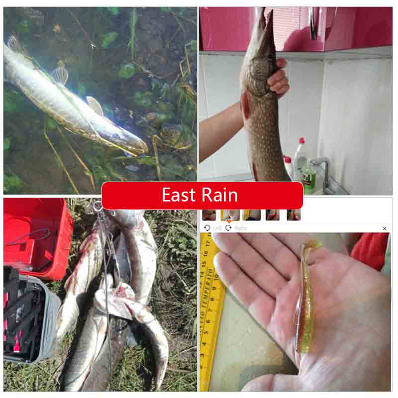 East Rain® Artificial Shad Plastic Translucent Soft Swimbait Paddle Tail Bass Lures